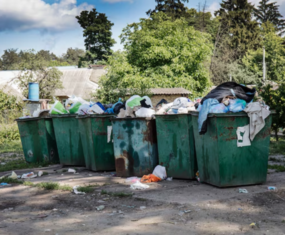 Schools Waste Management