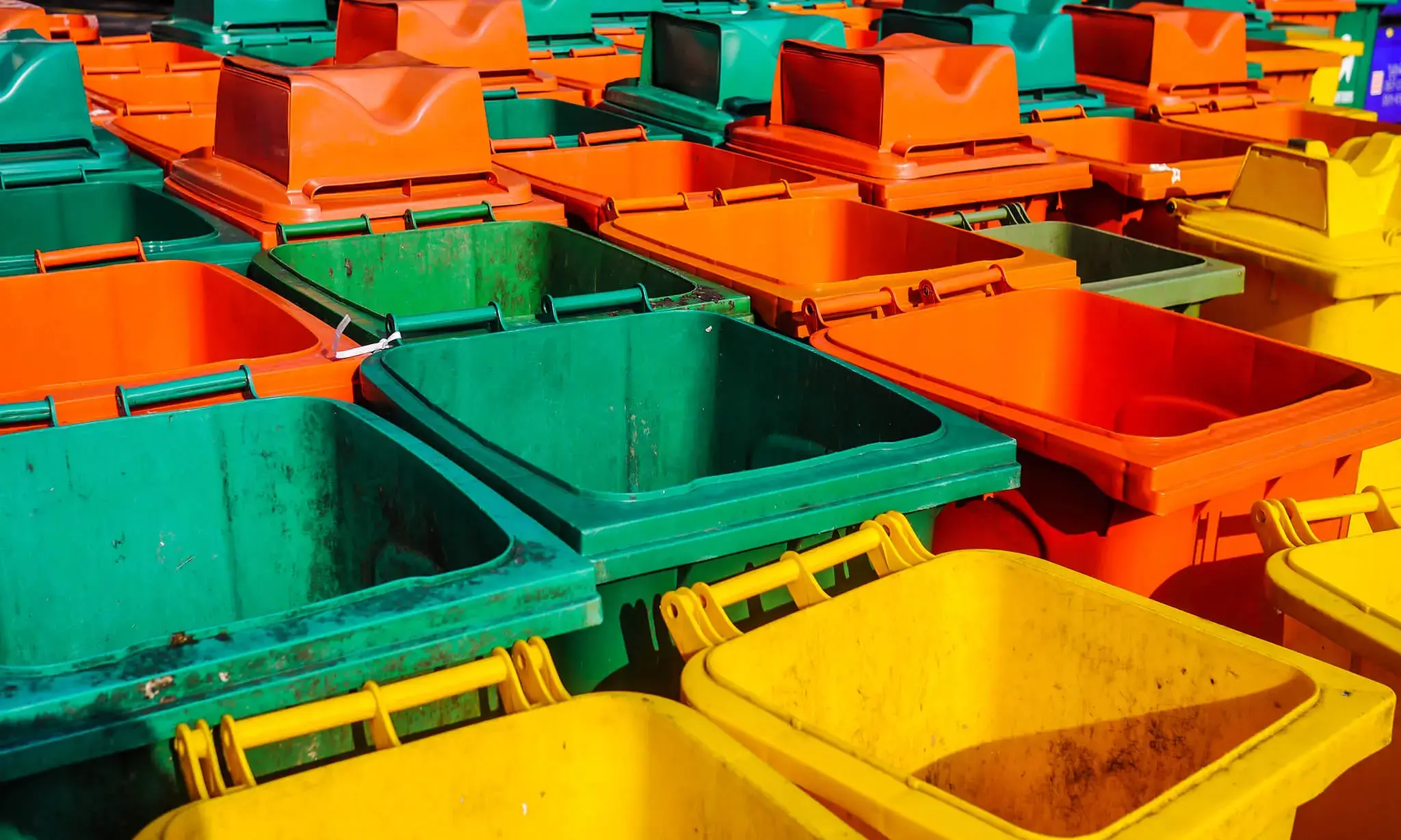 Roll Off Dumpster Rental